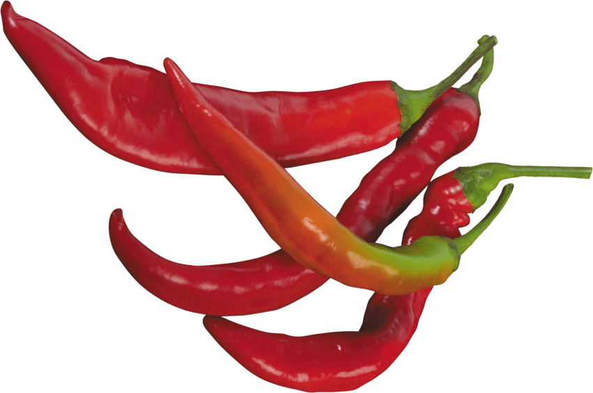Pepper Clipart Chili Pepper - Chili Peppers Transparent Background (851x565), Png Download
