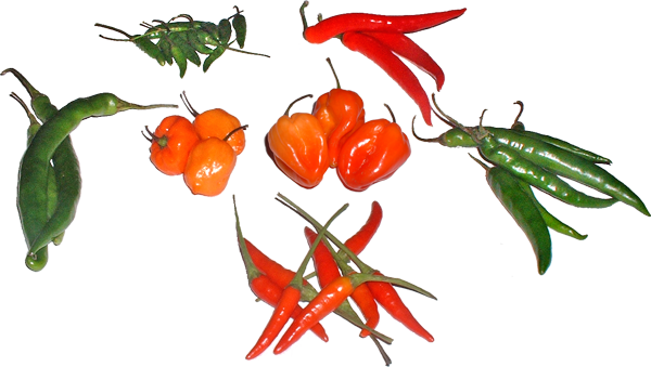 All Peppers Used In This Experiment - Types Of Hot Peppers (600x339), Png Download