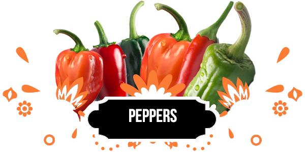 Mexican Cuisine (600x400), Png Download