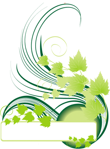 Floral-design Png - Frame Png Flower Design (800x600), Png Download