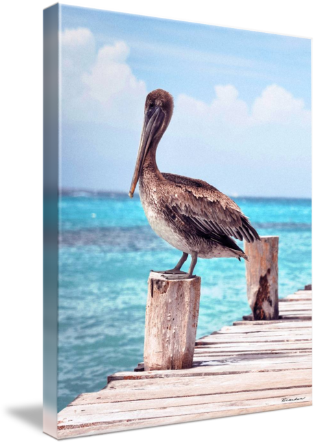 "treasure Coast Pelican Pier Sunrise Seascape C" By - Pelican On Pier (461x650), Png Download