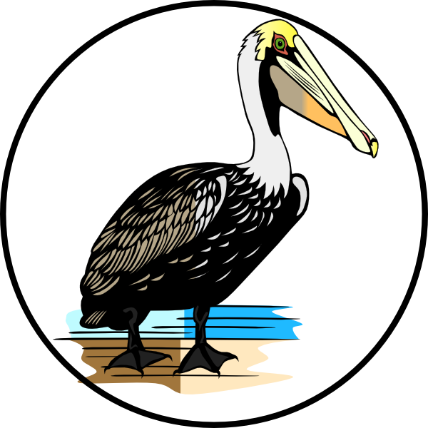 Original Png Clip Art File Pelican Svg Images Downloading (600x600), Png Download
