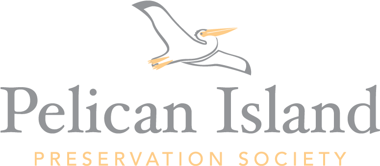 Pelican Png (792x362), Png Download