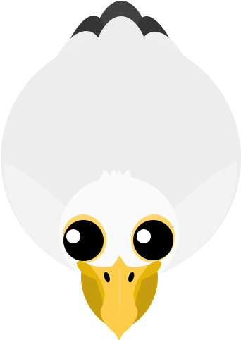 Pelican3 - Cartoon (500x500), Png Download
