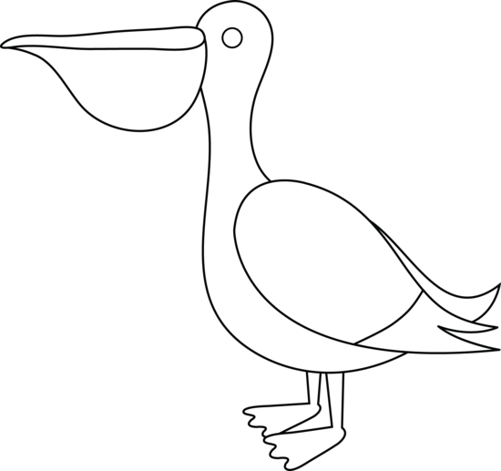 Brds Clipart Pelican - Seabird (550x517), Png Download