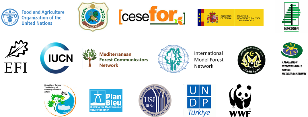 About 6th Mfw - Circle (1200x446), Png Download