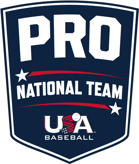 File - Pront-rgb - Svg - Usa Baseball (1024x768), Png Download