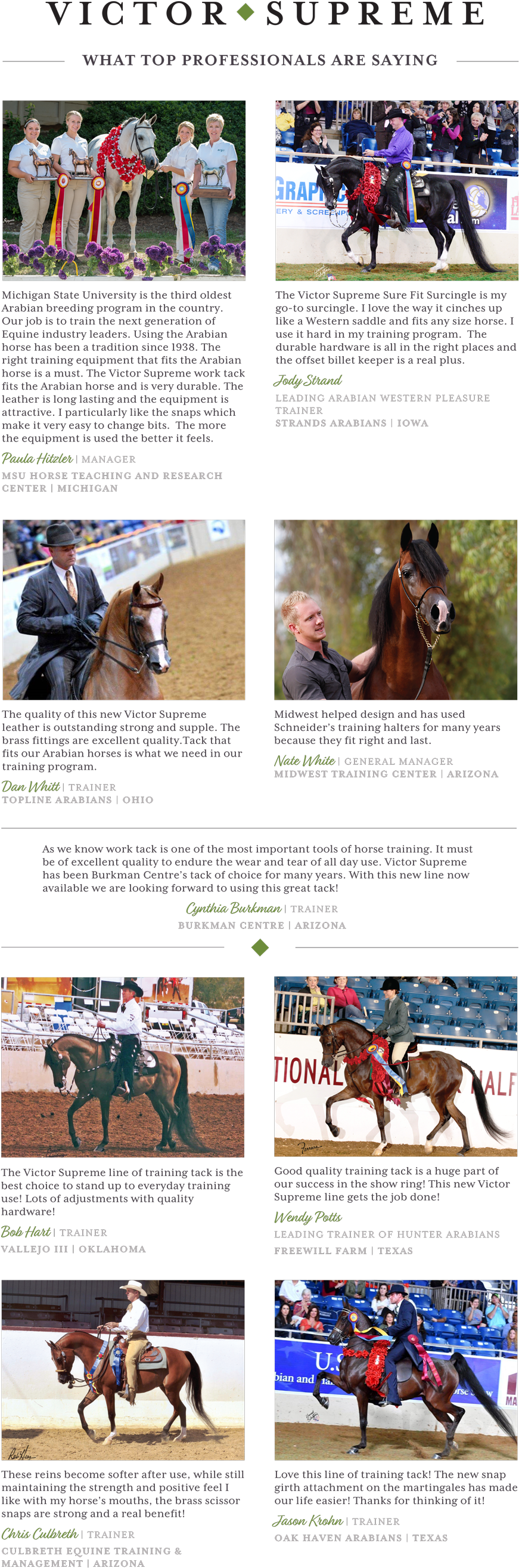 What Top Professionals Are Saying About Victor Supreme - Horse (900x2672), Png Download
