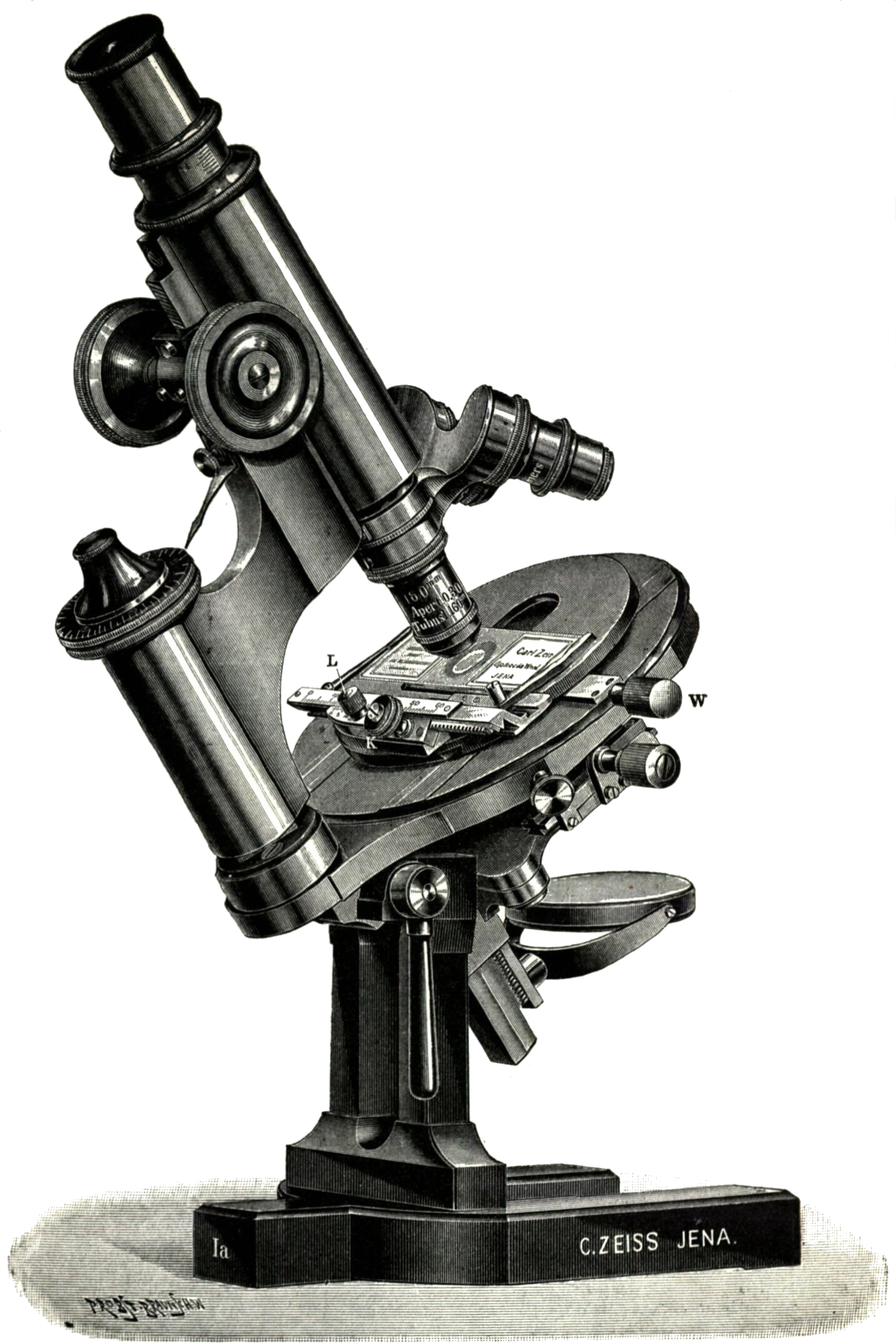 Ottův Slovník Naučný - Microscope (1432x2146), Png Download