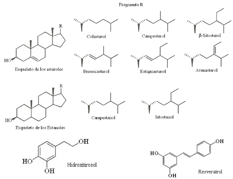 Estructuras Representativas De Diferentes Fitoquímicos - Structure (850x635), Png Download