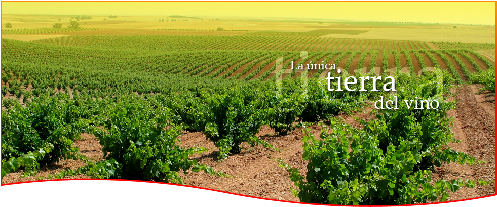 Location - Tierra Del Vino Zamora (980x515), Png Download