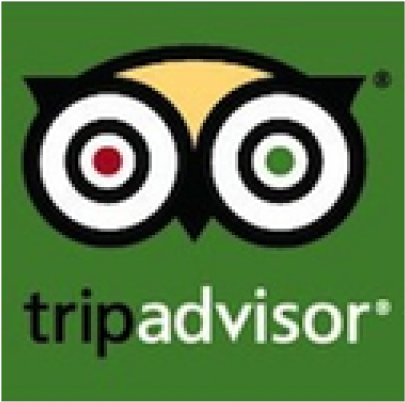 Tripadvisor 03/01/2018 - Tripadvisor Interactive Luggage Tag - Tripadvisor Owl (640x640), Png Download