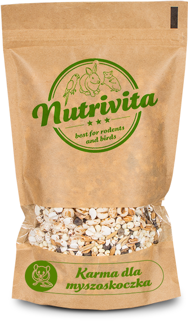 Food Preferences Of Gerbils Arise Out Of Their Natural - Common Degu (800x728), Png Download