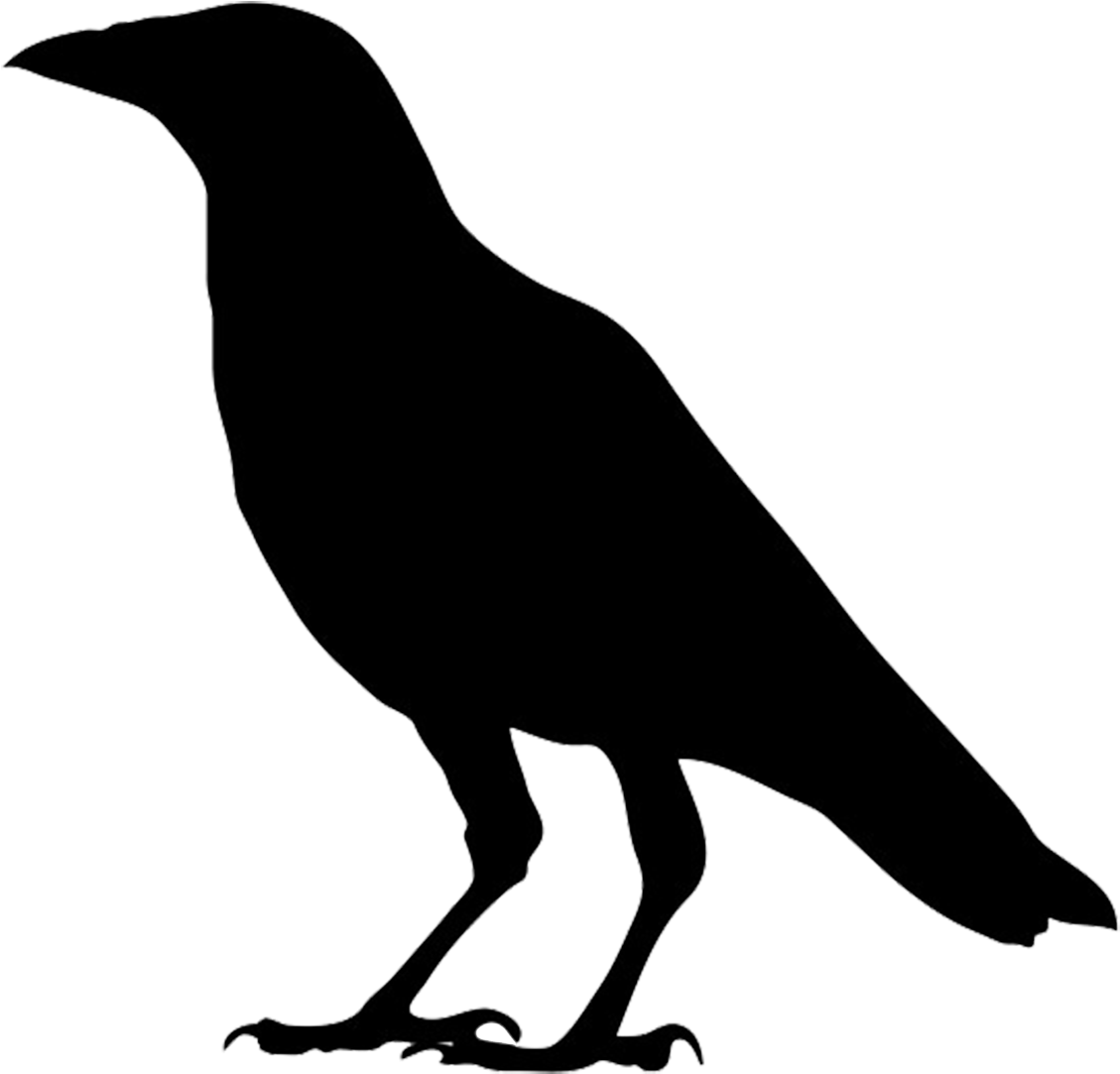 Crow Silhouette Right Clipart - Crow (1169x1185), Png Download