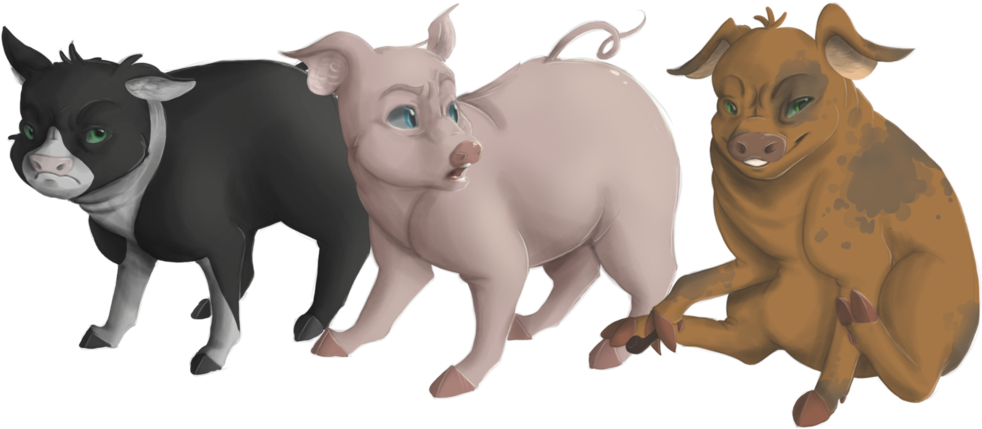 Pigs Png - Animal Farm Pig Png (1024x482), Png Download
