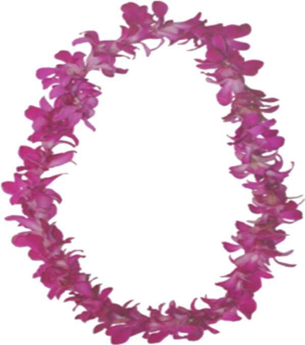 File - Wikiwelcomelei - Hawaiian Leis - Bulk Order Wholesale Discount Price (780x770), Png Download