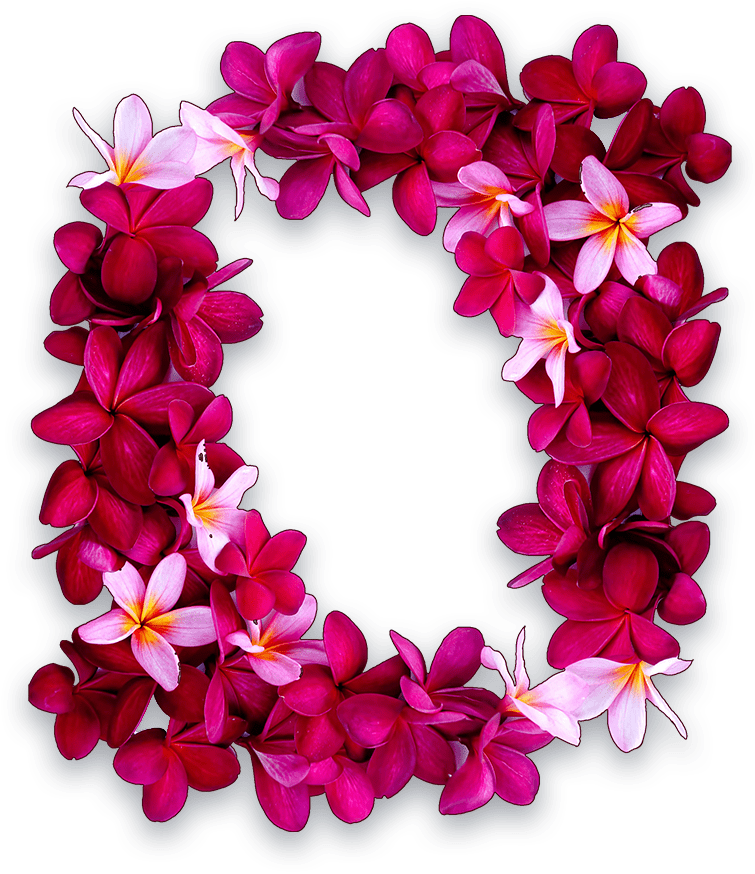 Flower Lei Png Clip Art Freeuse Download - Hawaii (755x874), Png Download