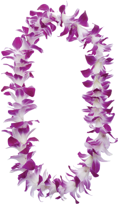 Hawaiian Lei Transparent Png (300x450), Png Download