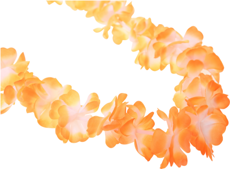 Hawaiian Lei Garland Orange - Hawaii (464x348), Png Download