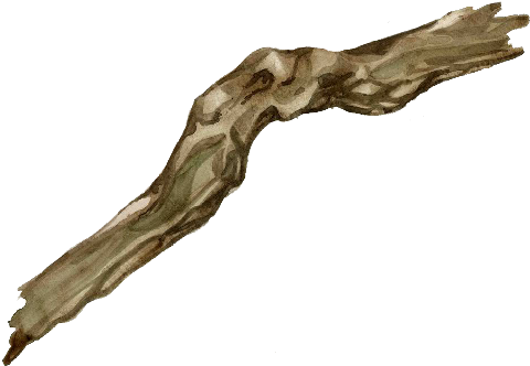 Driftwood, Driftwood - Driftwood Gif (500x343), Png Download