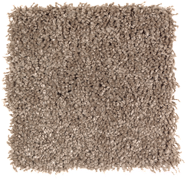 Tender Moments-driftwood Copy Copy - Petproof Sachet Ii Color Texture 12 Ft. Carpet (400x400), Png Download