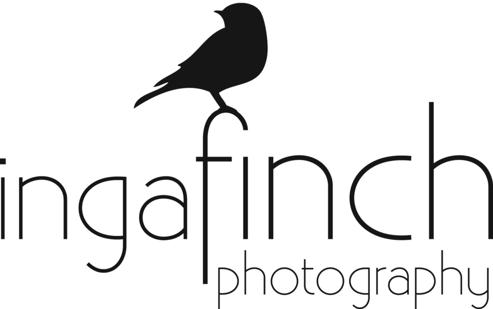 Atlanta Wedding Photographer - Photographer (960x601), Png Download