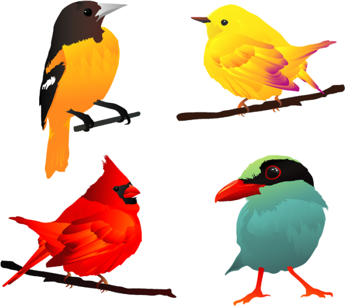 Comic Bird Free Vector - Beautiful Birds Clip Art (700x700), Png Download