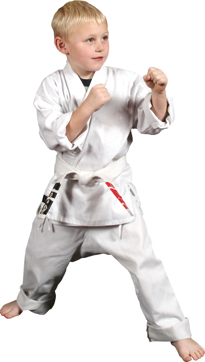 Karate Child - Karate Kid Png (669x1181), Png Download