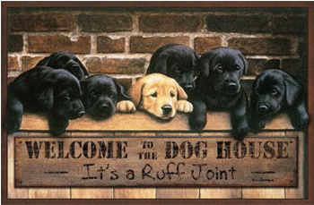 Welcome Mat Dog House - House (350x350), Png Download