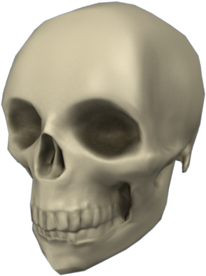 3d Skull Png Picture - Low Poly Skull Png (400x400), Png Download