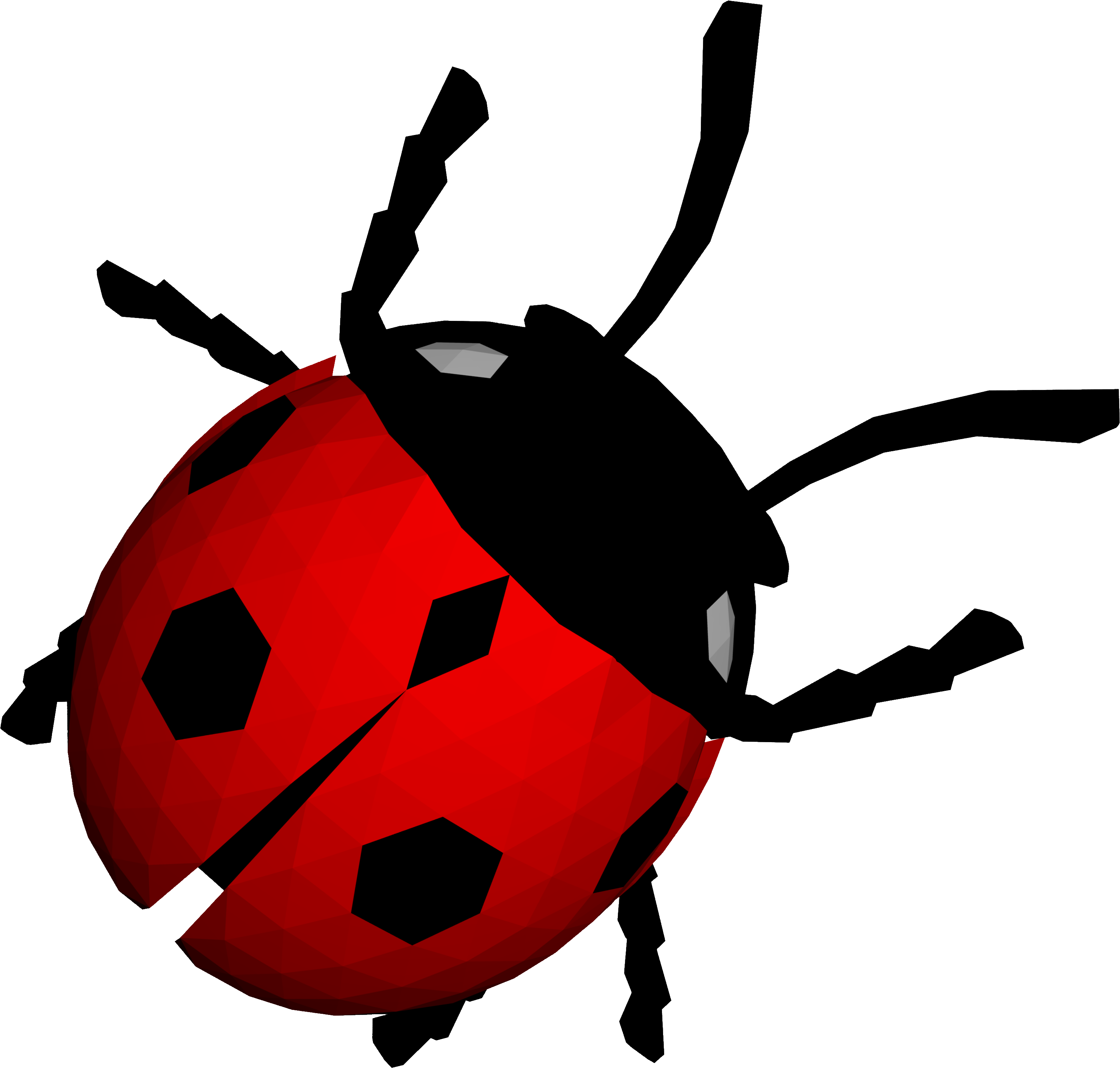 Lady Bug Png (3216x3072), Png Download