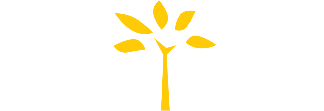 Graphic Design (1122x386), Png Download