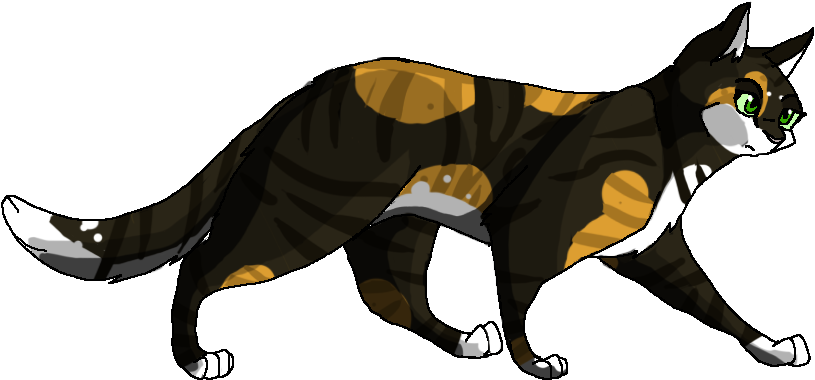 Warrior Cats - Tawnypelt Warriors (898x393), Png Download