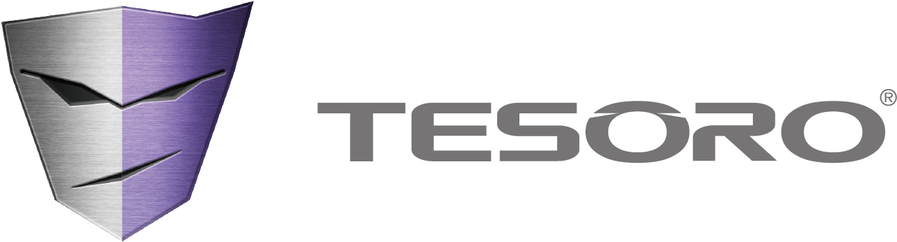 Размеры Ковра 36 См На 30 См - Tesoro Logo (1364x499), Png Download