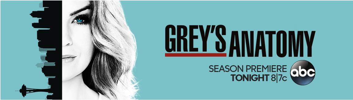 B Grey S Anatomy Season 13 Dvd (1150x450), Png Download