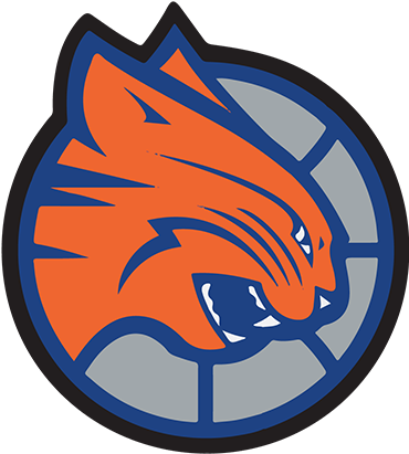 Charlotte Bobcats Old Logo (500x666), Png Download