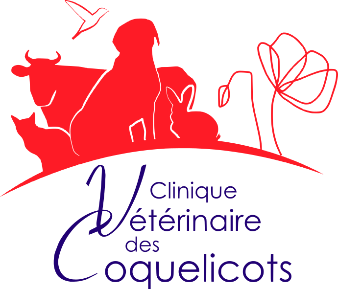 Clinique Vétérinaire Des Coquelicots - Veterinary Physician (690x591), Png Download
