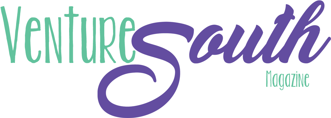 2018 Silver Sponsors - Mississippi (1140x436), Png Download