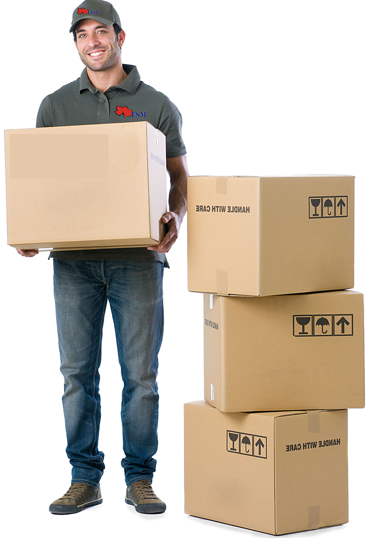 Kisspng Mover Moving Heroes Moving Vienna Relocation - Mudanza De Empresa (748x1092), Png Download