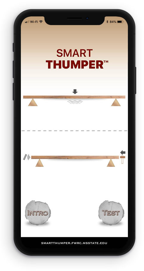 Iphone - Forest & Wildlife Research Center, Mississippi (500x918), Png Download