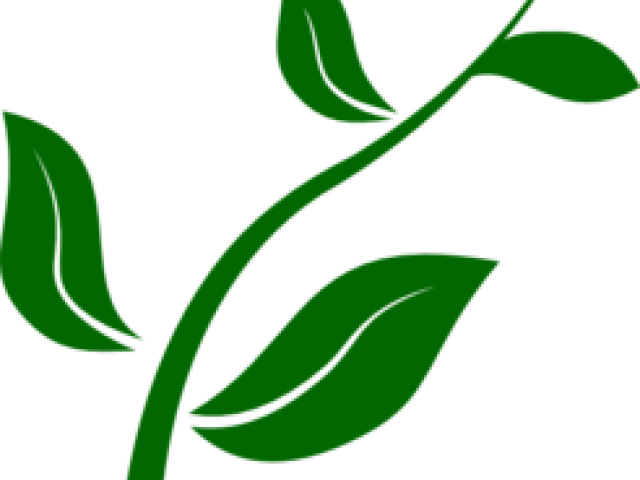 Pot Plant Clipart Plant Nursery - Growing Plant Clip Art (640x480), Png Download