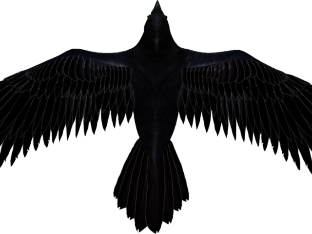 Raven Clipart Transparent Background - Clip Art Raven Png (640x480), Png Download