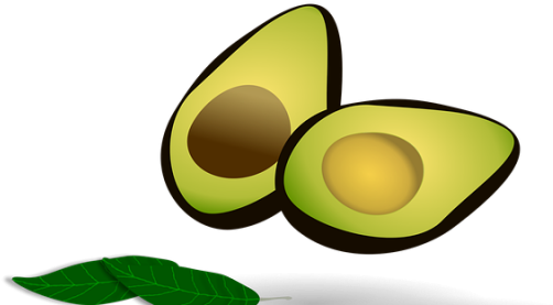Vegetables Clipart Avocado - Avocado (640x480), Png Download