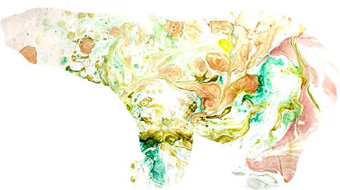 Fractured Bear Studio - Bull (587x555), Png Download