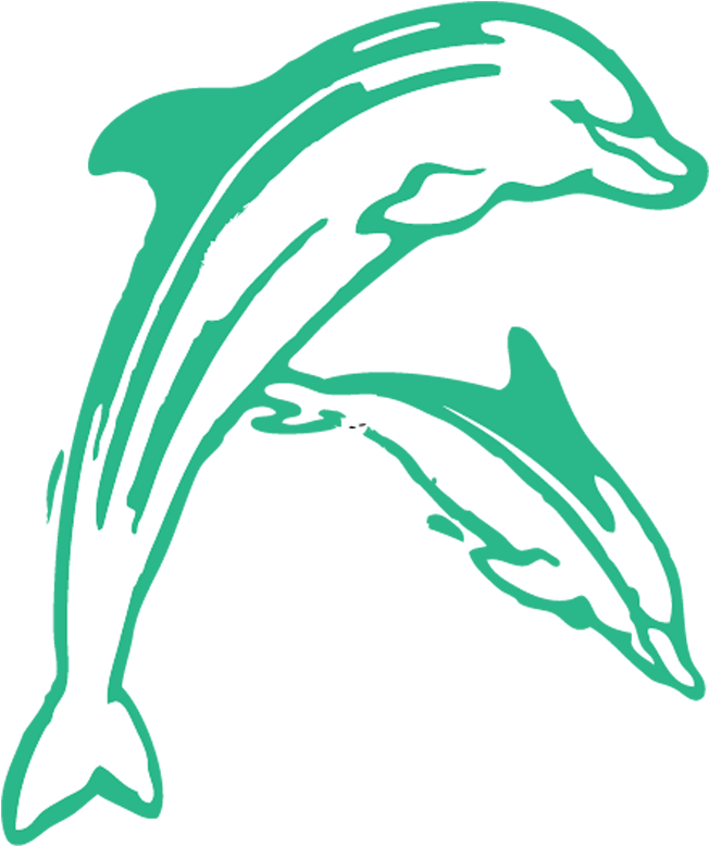 Elementary School - Dolphin (875x831), Png Download