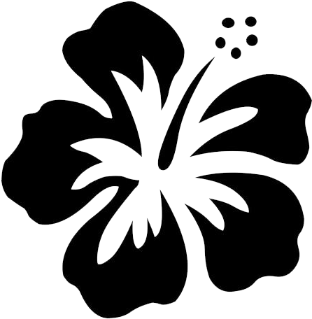 Hawaii-flower - Hawaii Flower (787x717), Png Download
