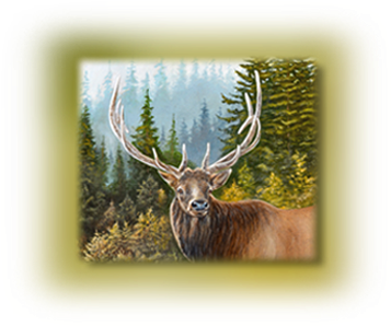 Wildlife Art - Antler (400x300), Png Download