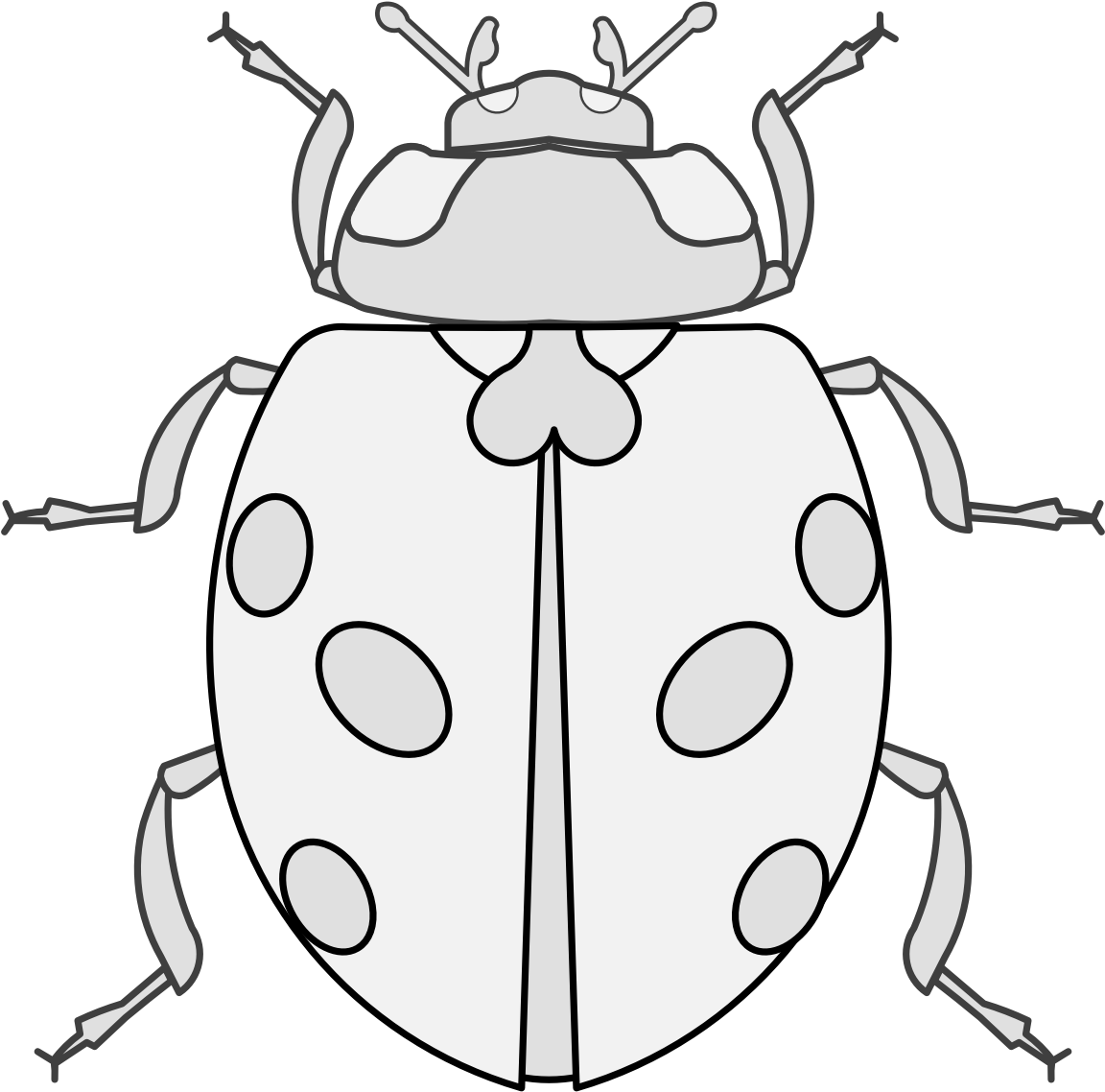 Details, Png - Ladybug (1181x1175), Png Download