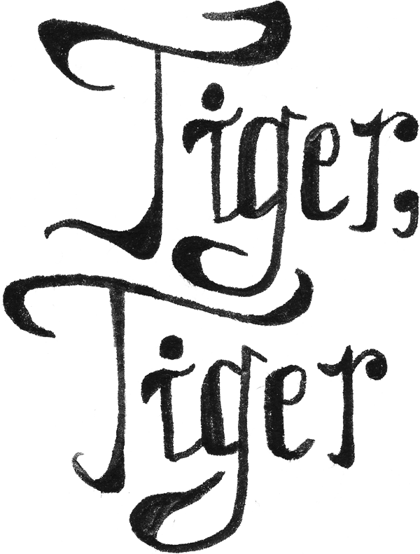 Tiger!tiger! (600x791), Png Download