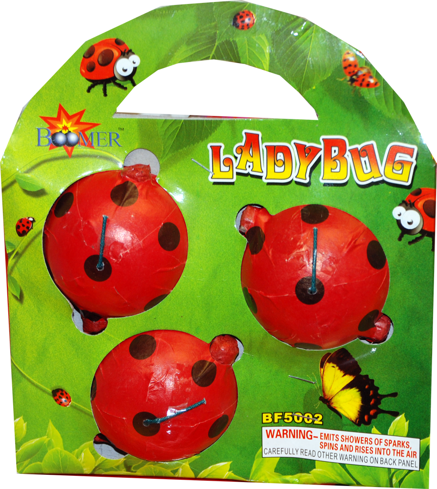 Lady Bug - Ladybird Beetle (894x1000), Png Download